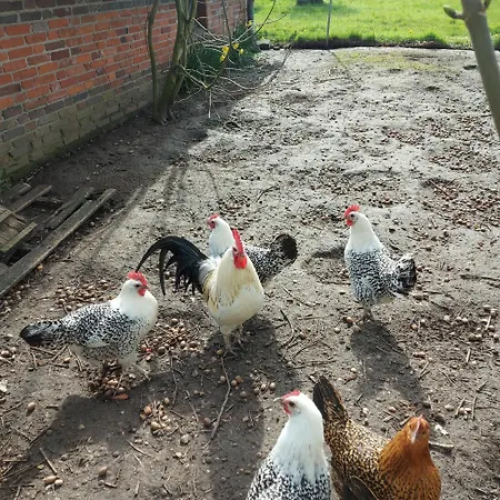 Grosses Apartament *