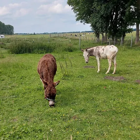 Grosses Apartament Ihlow (Aurich)