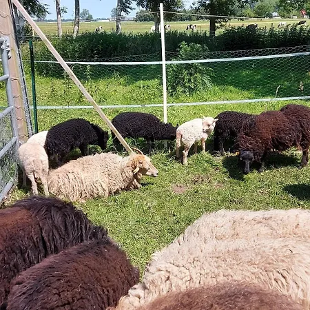 Grosses * Ihlow (Aurich)