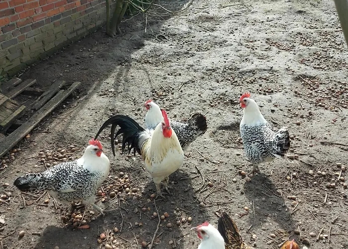 Grosses Appartement *