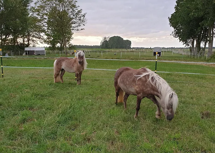 Appartement Grosses *