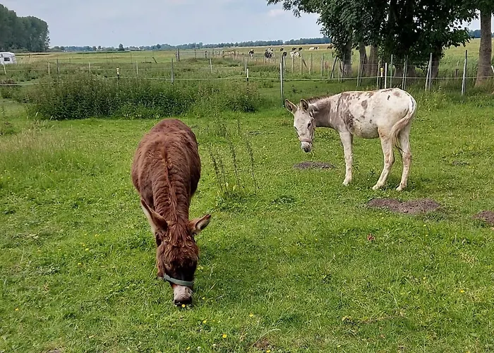 Grosses Appartement Ihlow (Aurich)