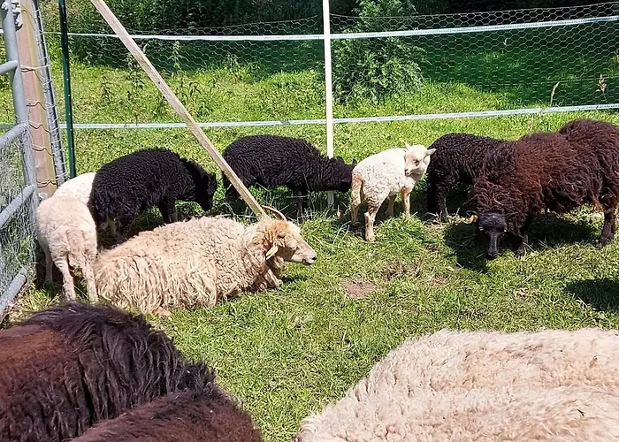 Grosses * Ihlow (Aurich)